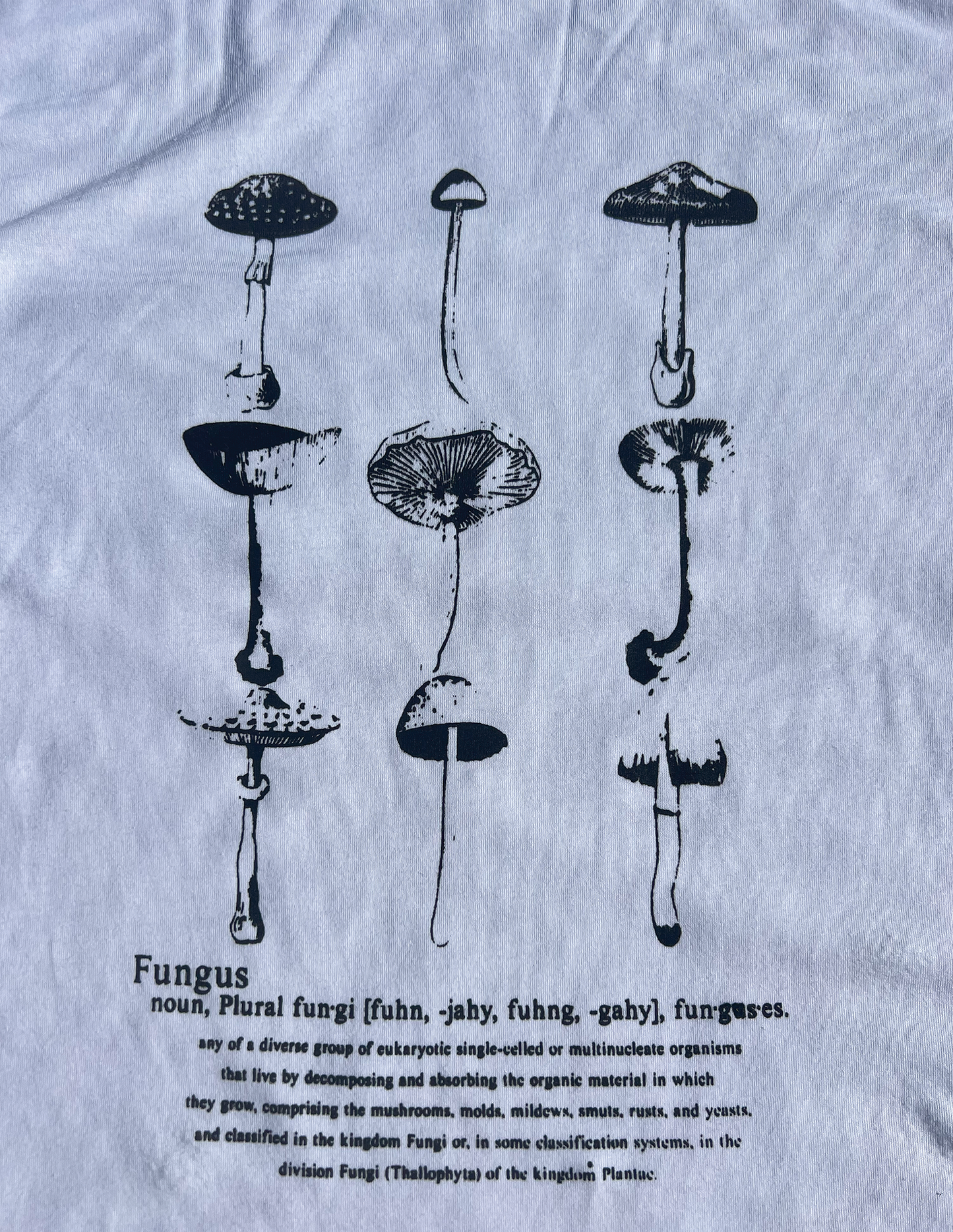 Fungus